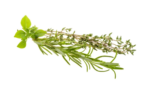 Fresh aroma herbs — Stock Photo, Image