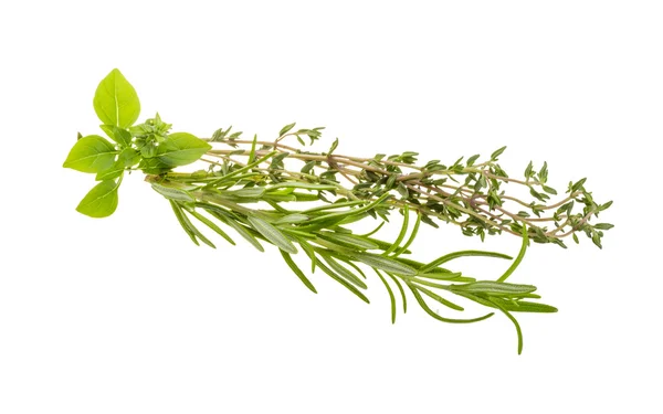 Erbe aromatiche fresche — Foto Stock