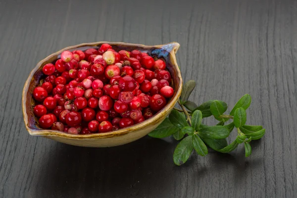 Cowberry in the bowl — Stock Photo, Image