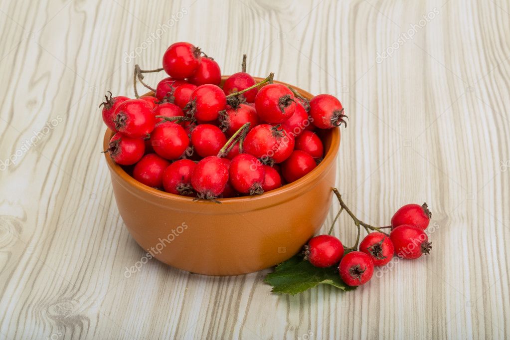 боярышник при диабете. боярышник гибридный крупноплодный. ягоды от боярышникова от сахарного диабета. боярышник крупноплодный дерево. боярышник сахарный диабет.