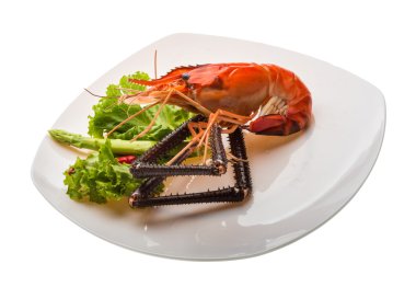 dev tatlı su karides