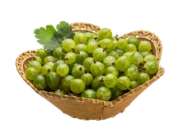 Gooseberry — Stok Foto