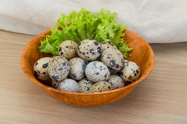 Vaktelägg — Stockfoto