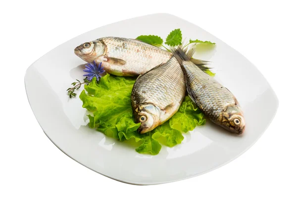 Pesce crociato — Foto Stock