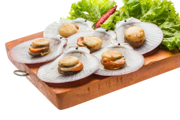 Grilled scallops — Stock Photo, Image