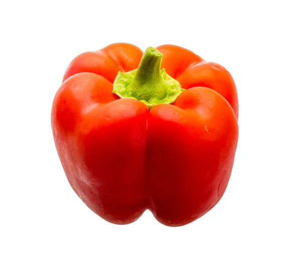 Peperoncino bulgaro rosso — Foto Stock