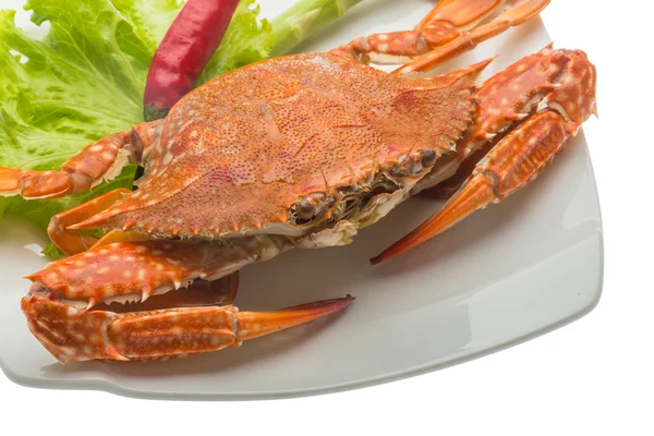 Boiled crab — Stock Photo, Image