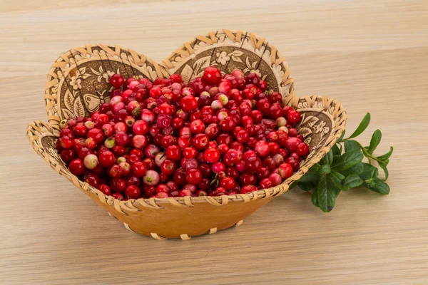 Cowberry — Stock Photo, Image