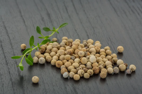 WHite pepper corn — Stock Photo, Image