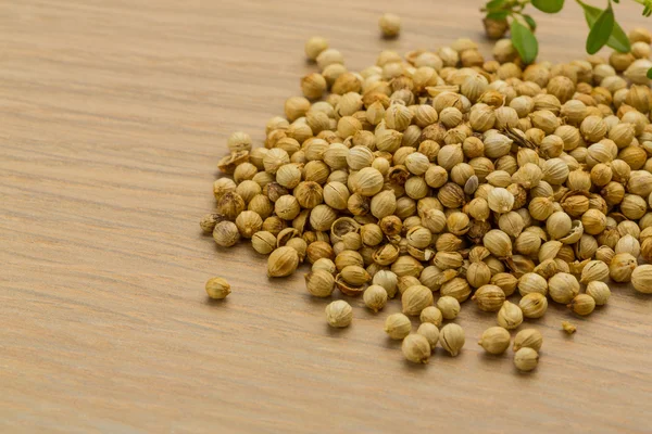 Coriander seeds — Stock Photo, Image