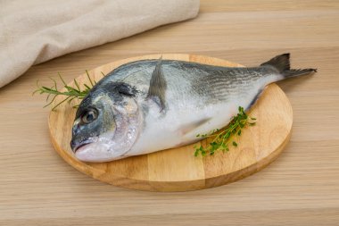 çiğ dorado