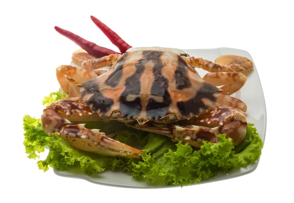 Red crab — Stock Photo, Image