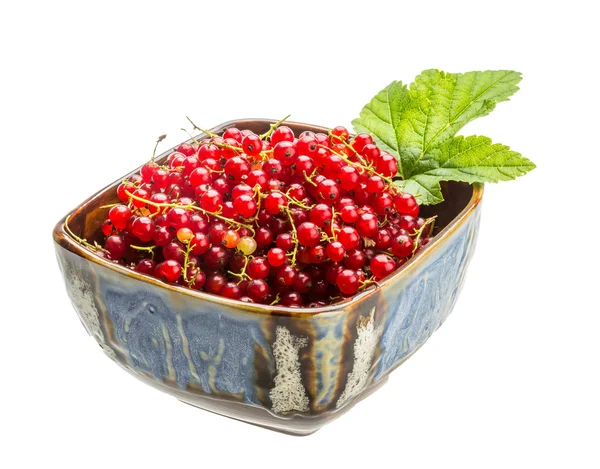 Red currant — Stock Photo, Image