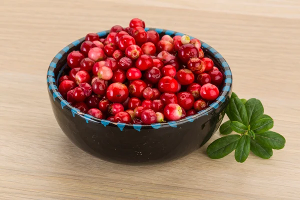 Cowberry — Stock Photo, Image