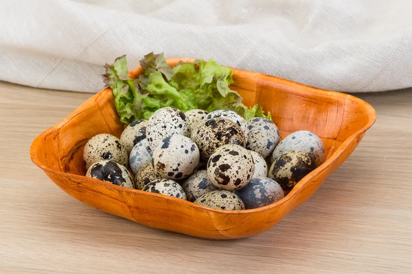 Quail eggs — Stock Photo, Image