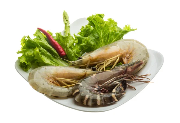 King and waterleg shrimps — Stock Photo, Image