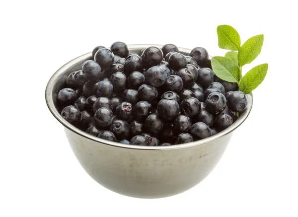 Blueberry — Stock Photo, Image