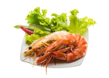 Kral haşlanmış karides