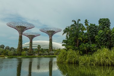 Singapur Körfezi 'ndeki Bahçeler.