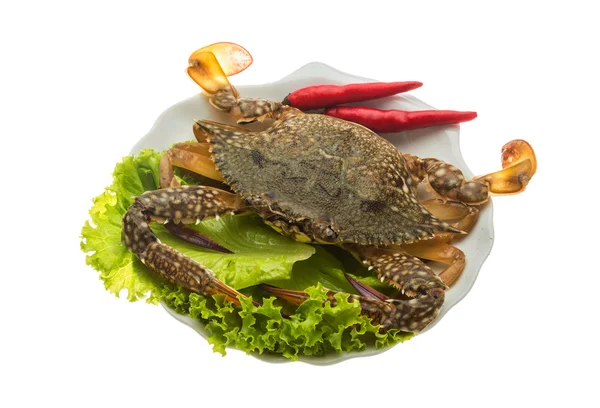 Raw crab — Stock Photo, Image