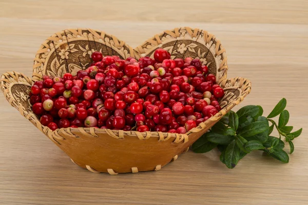 Cowberry — Stock Photo, Image