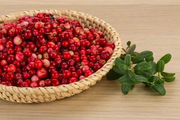 Cowberry in the bowl — Stock Photo, Image