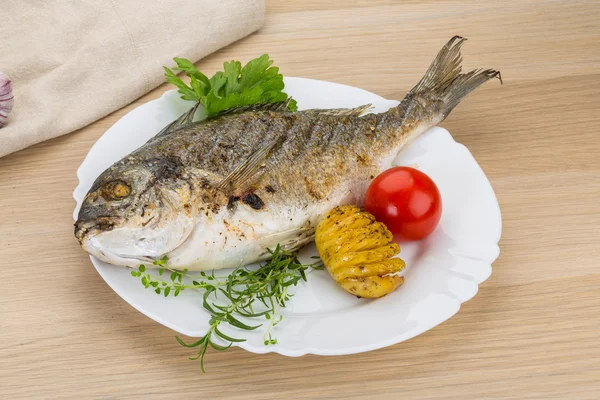 stock image Grilled dorado