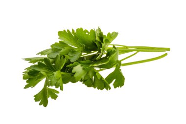 Maydanoz yeşil şube