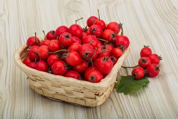 Hawthorn berries in the bowl — Stock Photo, Image