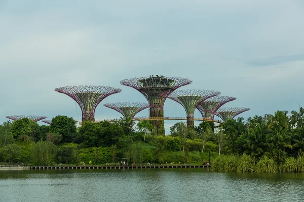 Giardini vicino alla baia di Singapore — Foto Stock