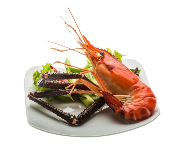 Giant Freshwater Prawn — Stock Photo, Image