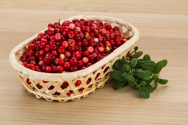 Cowberry in the bowl — Stock Photo, Image