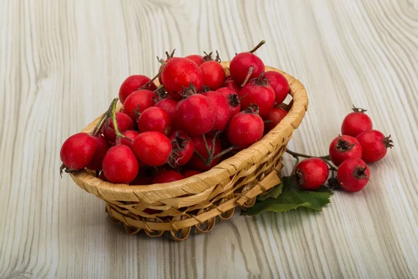 Hawthorn berries in the bowl — Stock Photo, Image