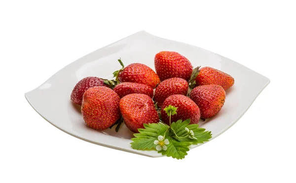 Reife Erdbeere — Stockfoto