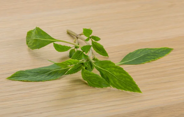 Περγαμόντο φύλλα — Φωτογραφία Αρχείου
