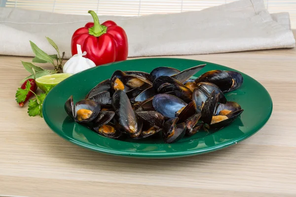 Cozze nella ciotola — Foto Stock