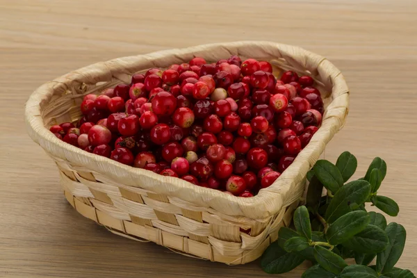 Cowberries in the bowl — Stock Photo, Image