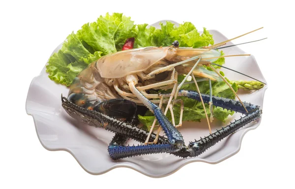 Freshwater prawn — Stock Photo, Image