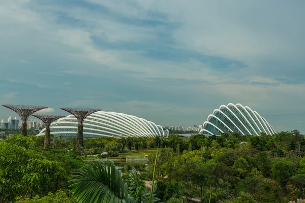 Jardines cerca de la bahía en Singapur — Foto de Stock