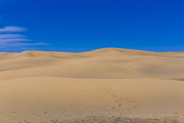 Maspalomas Duna w Wyspy Kanaryjskie — Zdjęcie stockowe