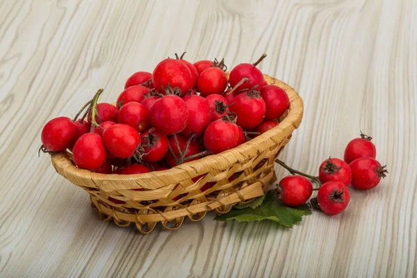Hawthorn berries in bowl — Stock Photo, Image