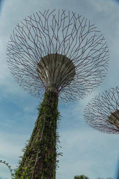 Садовники у залива в Сингапуре. — стоковое фото