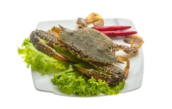 Crabe cru — Photo