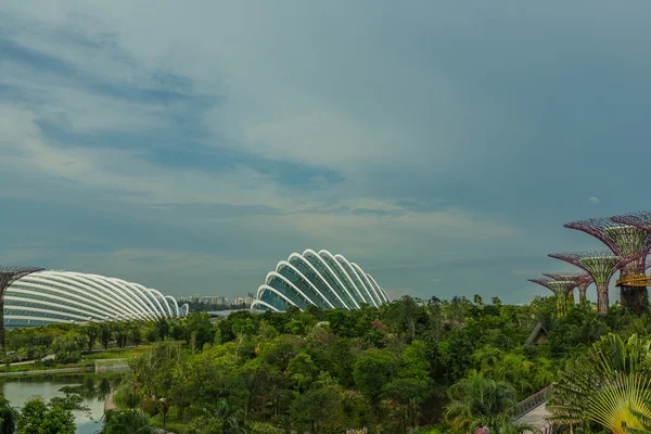 Singapur Körfezi 'ndeki Bahçeler. — Stok fotoğraf