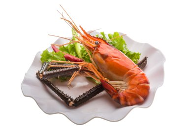 dev tatlı su karides