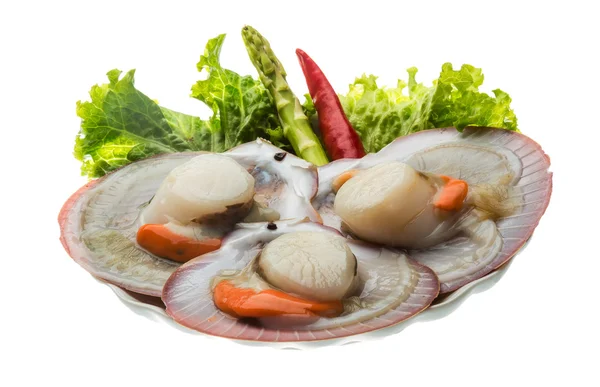 Raw fresh scallop — Stock Photo, Image