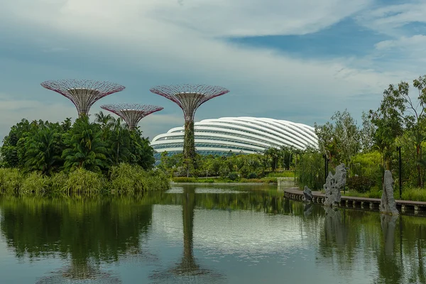 Jardins perto da baía em Singapura. — Fotografia de Stock