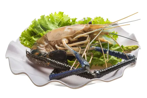 Freshwater prawn — Stock Photo, Image