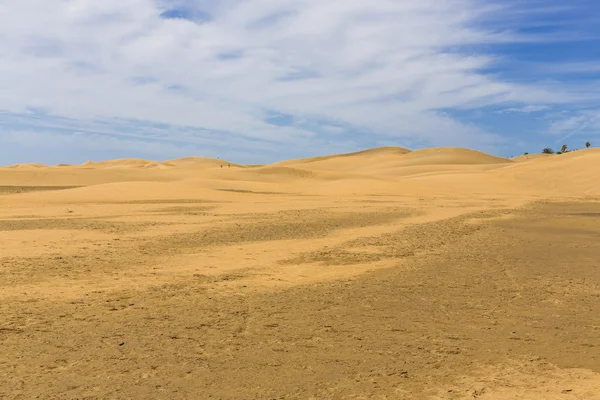 Desierto en Canarias — Foto de Stock