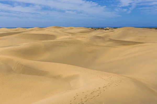 Desert in Canary island — Stock Photo, Image